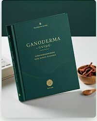 Ganoderma Beginner's Guide