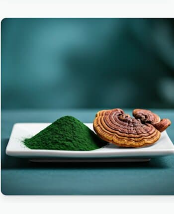 A plate of vivid green spirulina powder beside dried Ganoderma slices